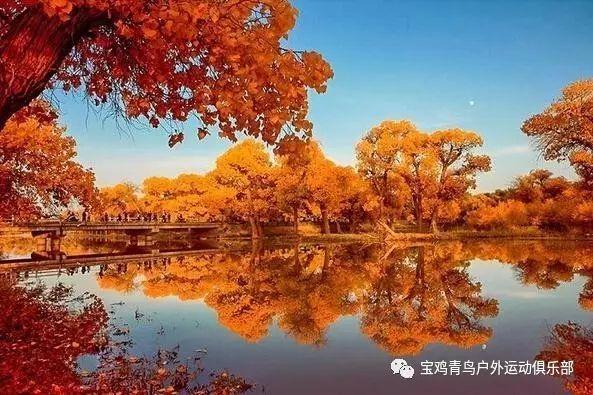 拯救红色方块